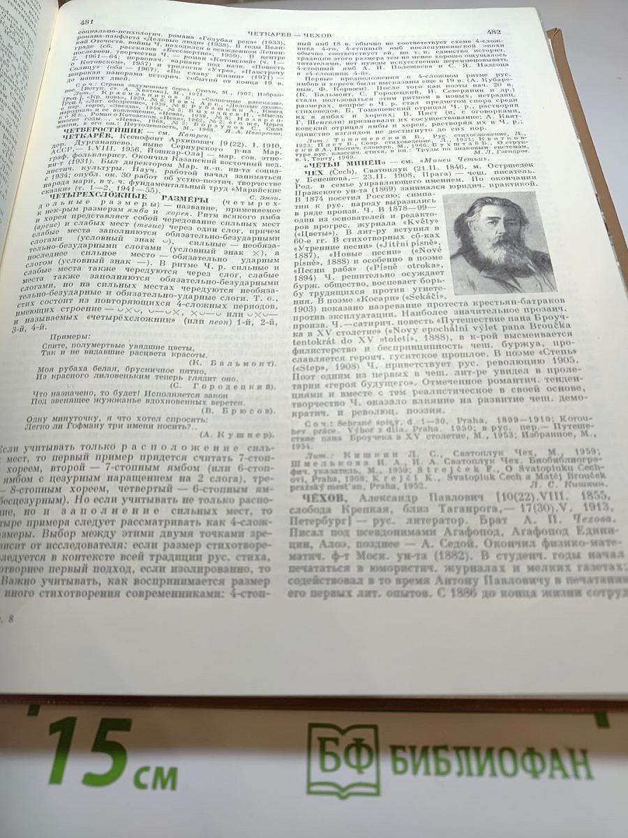 Краткая литературная энциклопедия. Том 8: Флобер - Яшпал