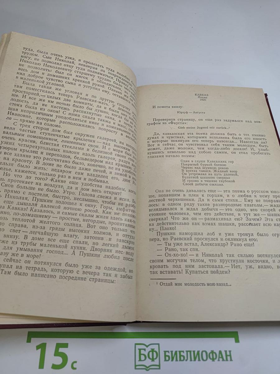 Пушкин на Юге