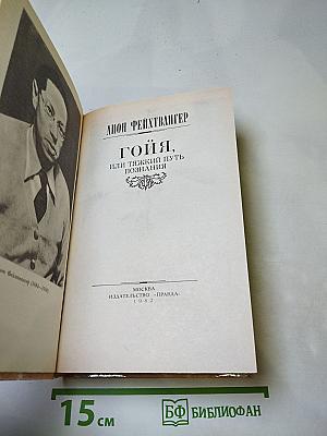 Гойя, или Тяжкий путь познания