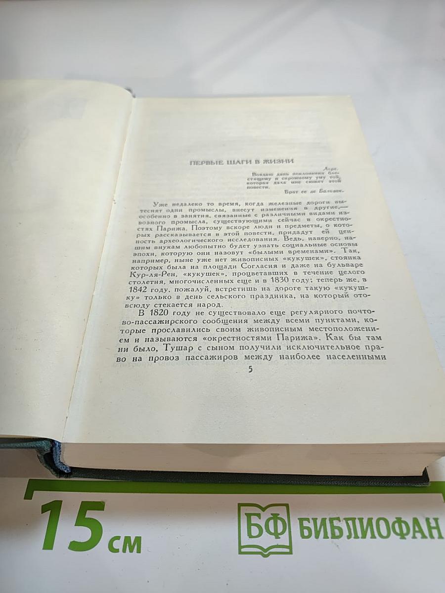 Этюды о нравах. Сцены частной жизни