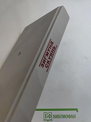 Мужчина во цвете лет. Мемуары молодого человека