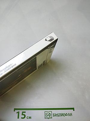 Лебедев в Петербурге-Петрограде-Ленинграде