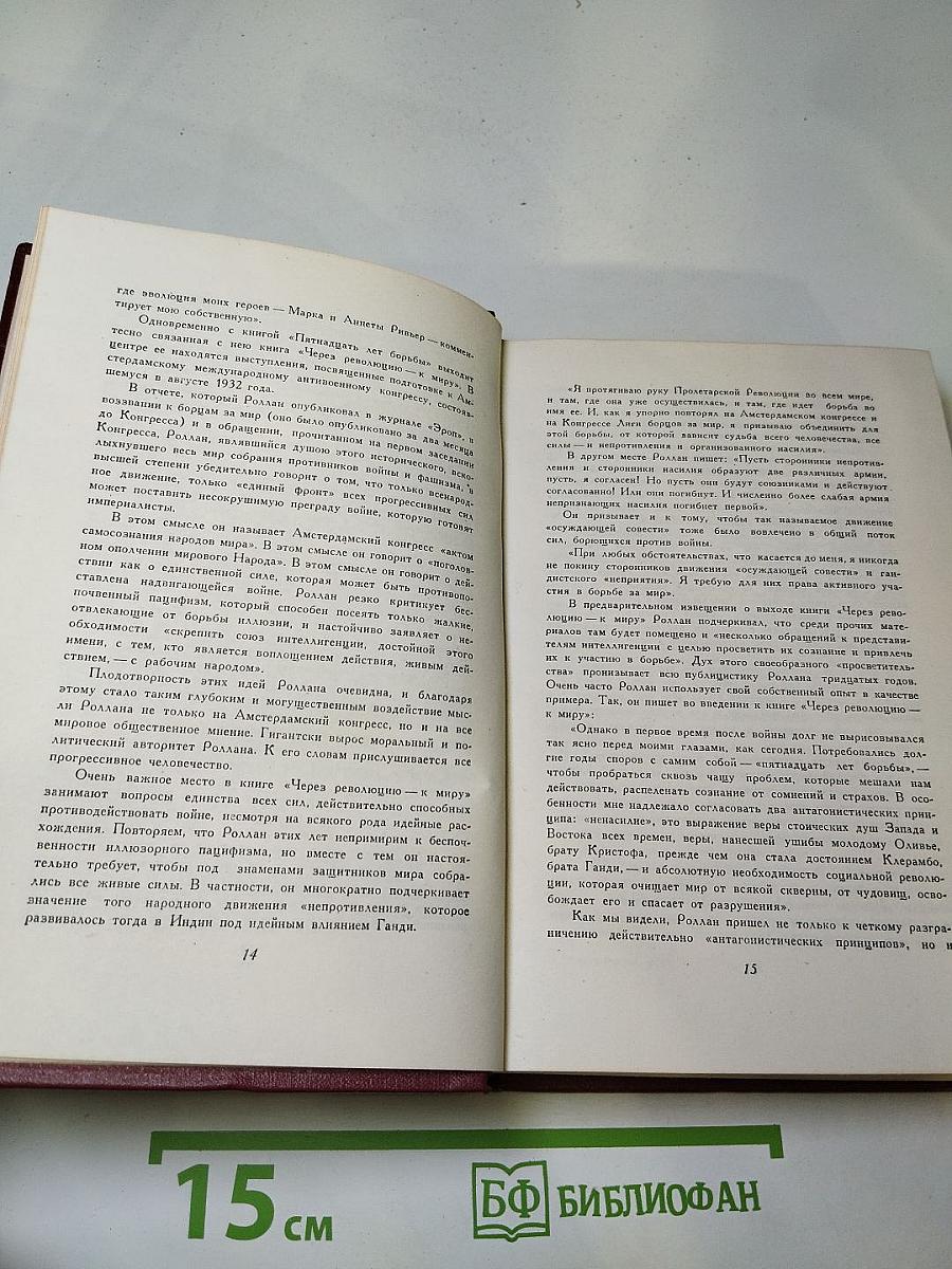 Собрание сочинений. Том тринадцатый. Публицистика (1917-1939)