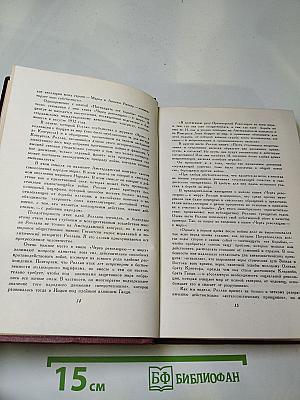 Собрание сочинений. Том тринадцатый. Публицистика (1917-1939)
