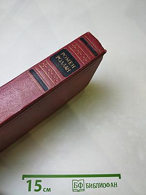 Собрание сочинений. Том тринадцатый. Публицистика (1917-1939)