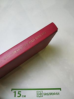 День лисицы. От руки брата его