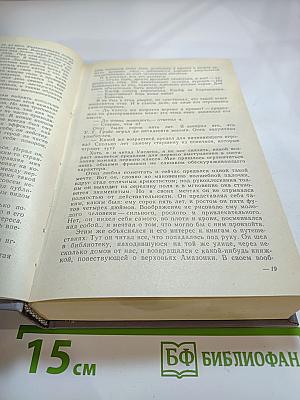 Пора надежд. Возвращения домой