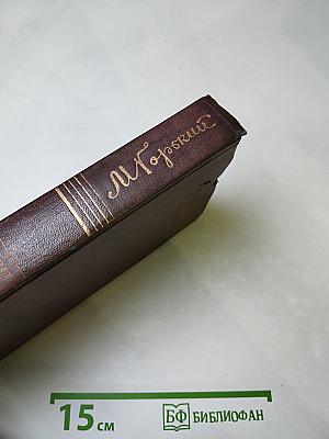 Полное собрание сочинений. Том пятый. "Трое". Рассказы, наброски. 1899-1901.