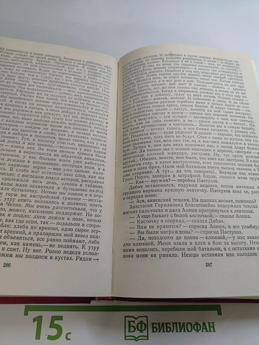Первые радости. Необыкновенное лето