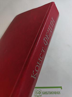 Первые радости. Необыкновенное лето