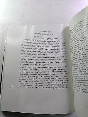 Завет внуку. Новеллы о Михайловском