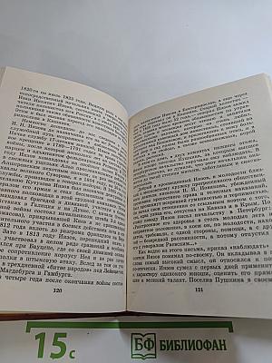 Пушкин и Военная галерея Зимнего дворца