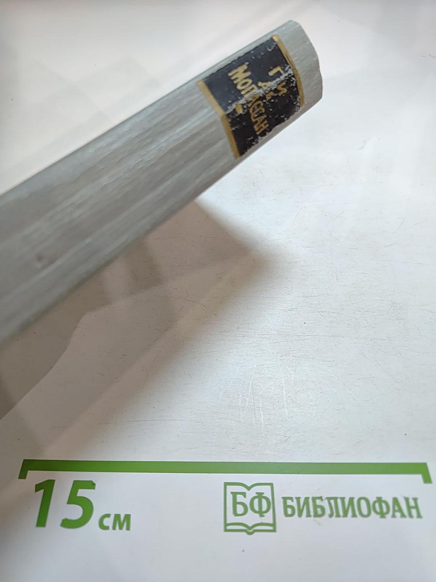 Полное собрание сочинений в двенадцати томах. Том 12