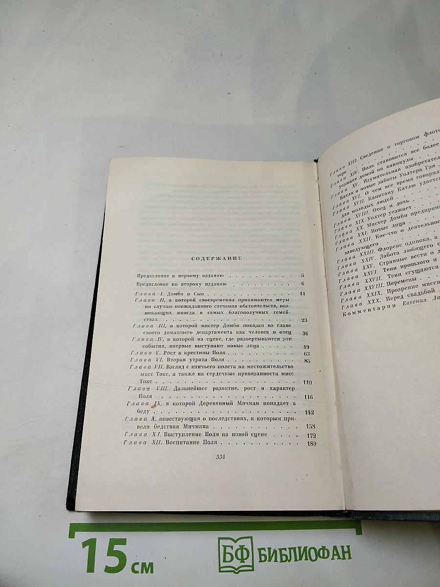 Собрание сочинений Том Тринадцатый. Торговый дом Домби и сын