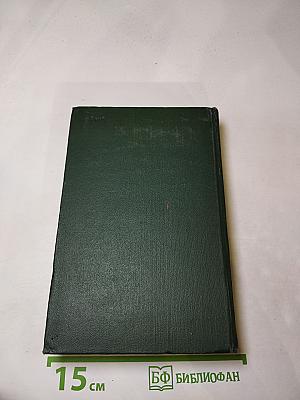 Собрание сочинений Том Тринадцатый. Торговый дом Домби и сын