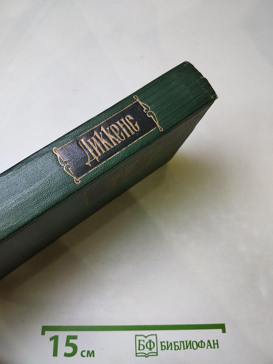 Собрание сочинений Том Тринадцатый. Торговый дом Домби и сын