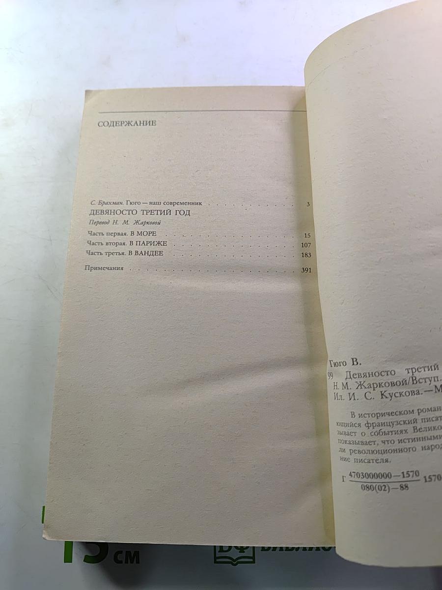 Девяносто третий год