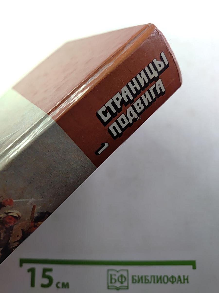 Страницы подвига. Том первый. За власть Советов