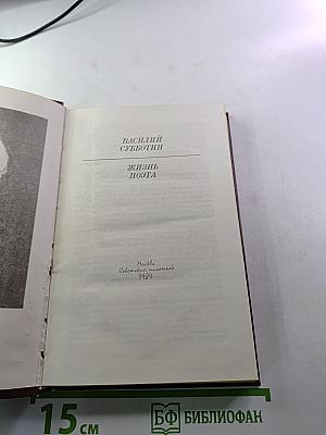 Жизнь поэта