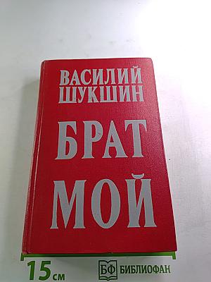 Брат мой
