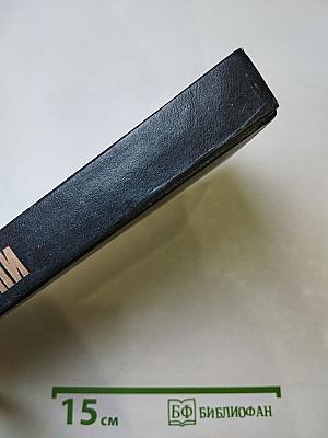 Светотени. Политический детектив