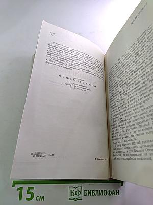 Огневой меч Ленинграда