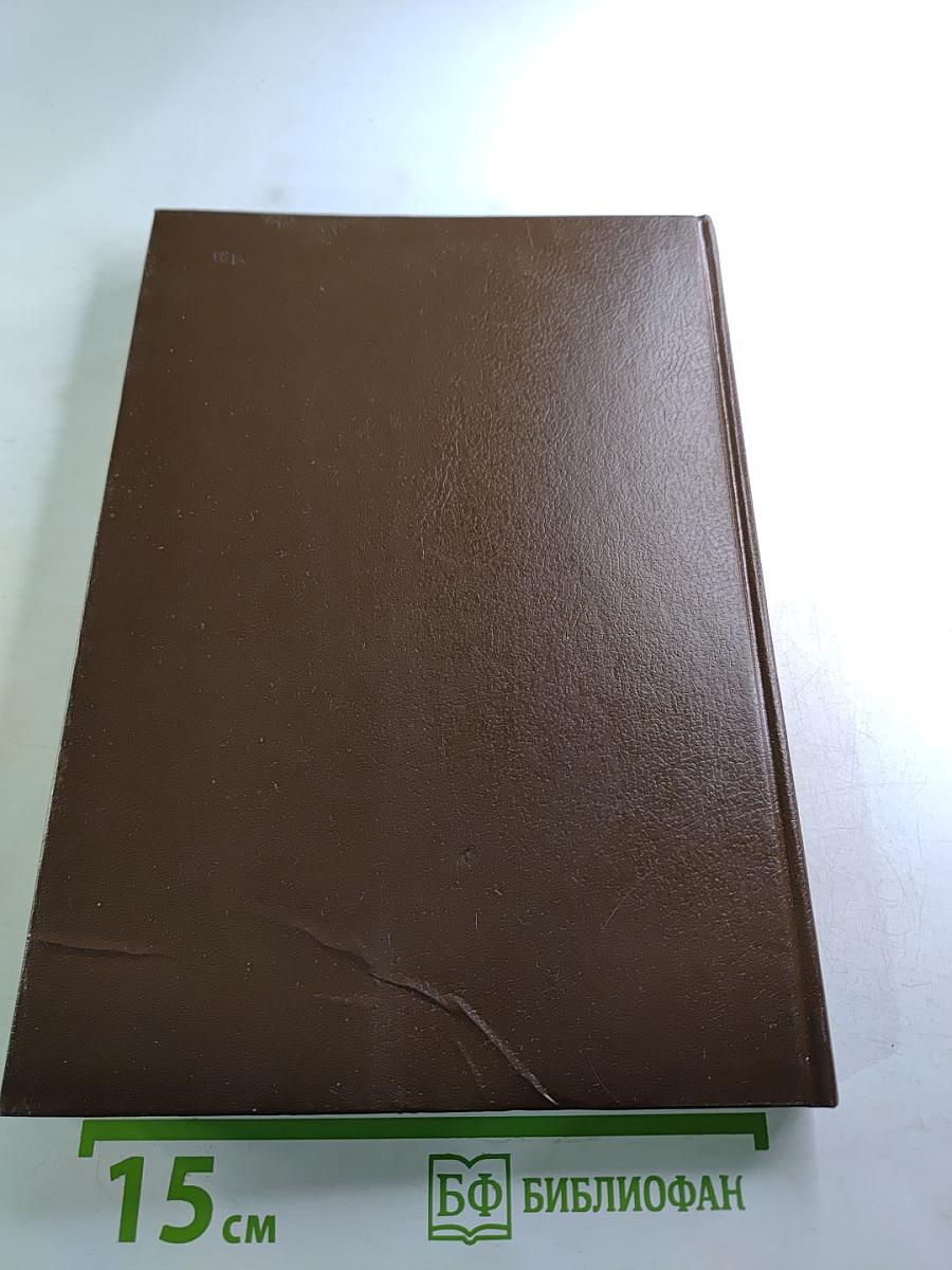 Царица Прасковья. Очерк из русской истории XVIII века