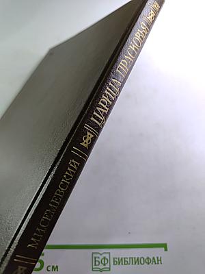 Царица Прасковья. Очерк из русской истории XVIII века