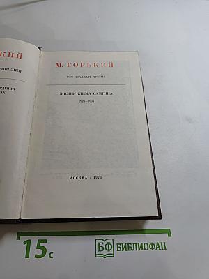 Жизнь Клима Самгина (Том двадцать третий)