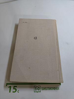 Вечерний день. Письма. Встречи. Портреты