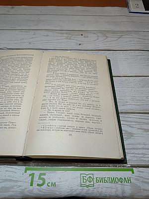 Собрание сочинений. Том первый. Записки охотника