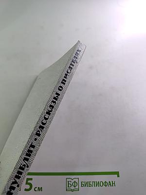 Рассказы о писателях и маленькая повесть