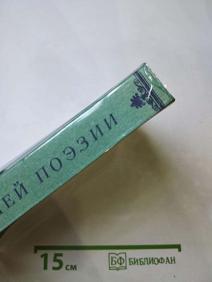 Солнце нашей поэзии