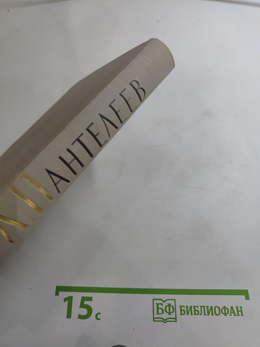 Наша Маша. Литературные портреты. Том четвёртый