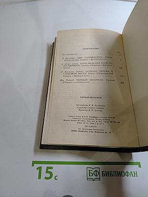 Чёрный штурман