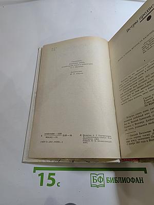 Василий Каменский. Степан Разин. Пушкин и Дантес. Художественная проза и мемуары