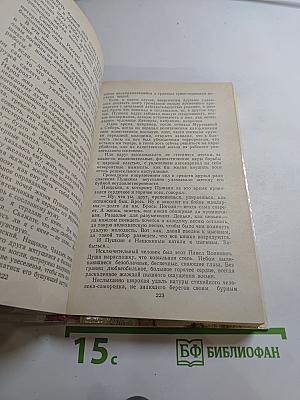 Василий Каменский. Степан Разин. Пушкин и Дантес. Художественная проза и мемуары