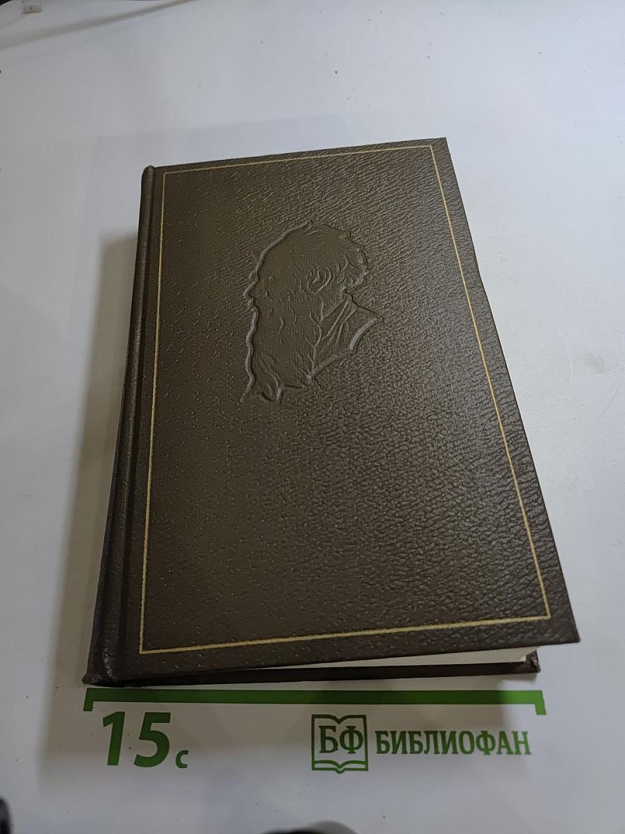 Дневники 1895–1910 гг. (Том двадцатый)