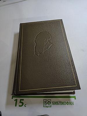 Дневники 1895–1910 гг. (Том двадцатый)