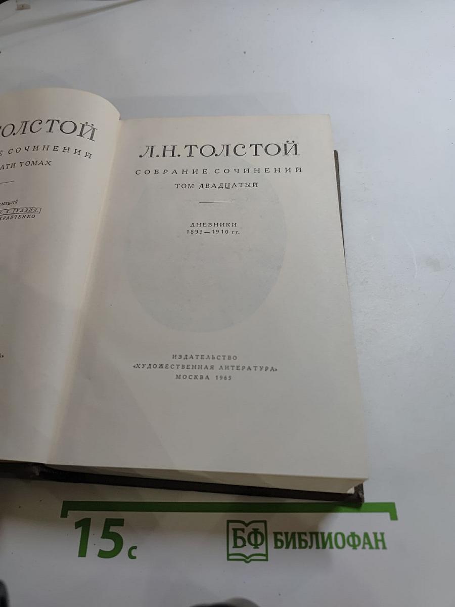 Дневники 1895–1910 гг. (Том двадцатый)