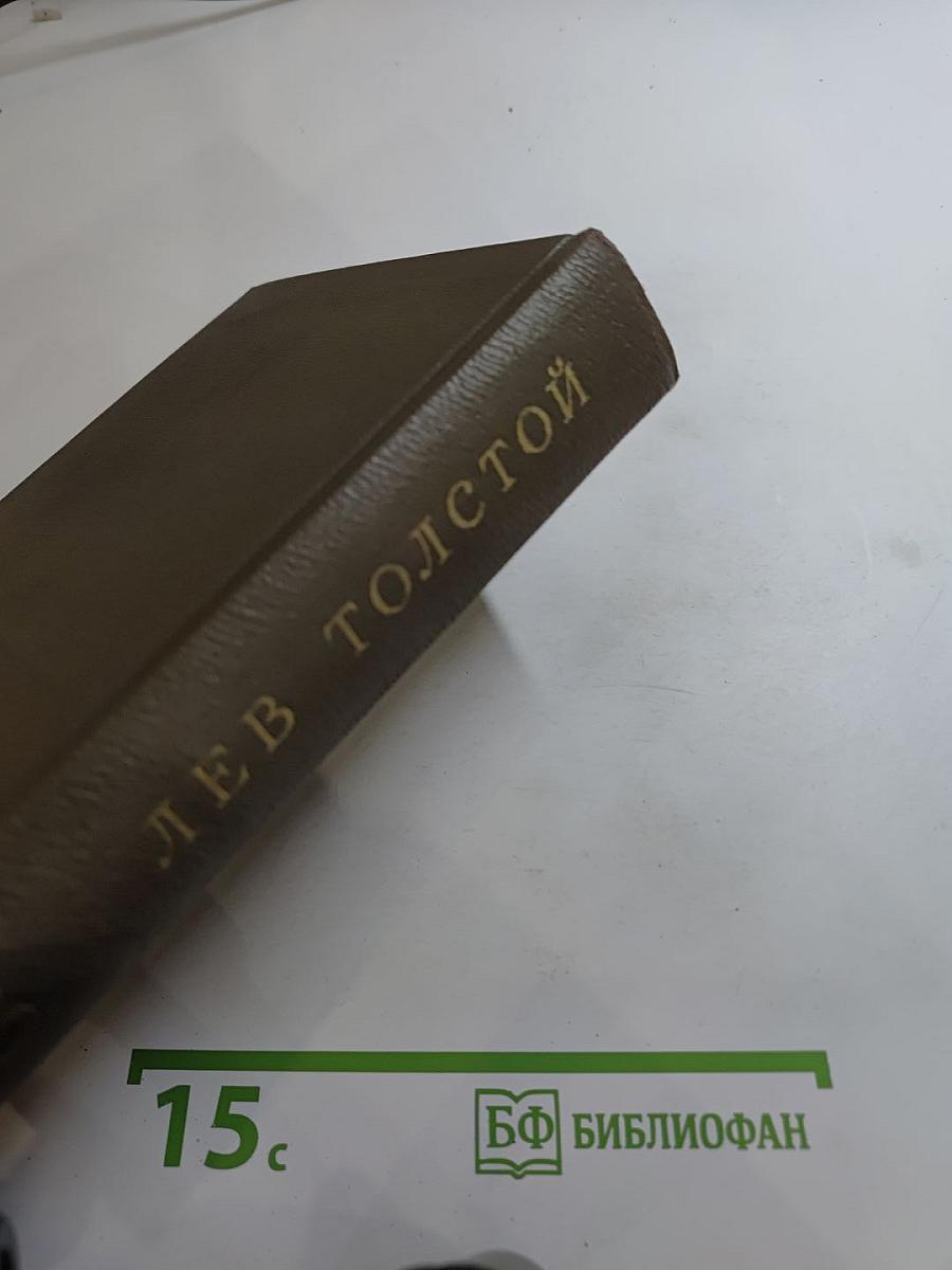 Дневники 1895–1910 гг. (Том двадцатый)