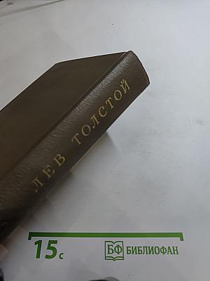 Дневники 1895–1910 гг. (Том двадцатый)