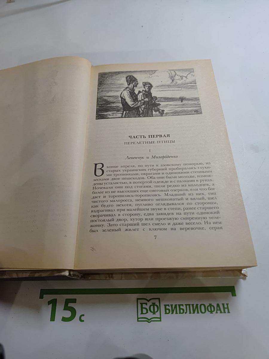 Беглые в Новороссии. Воля. Княжна Тараканова