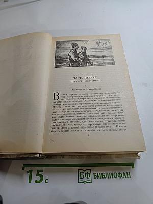 Беглые в Новороссии. Воля. Княжна Тараканова