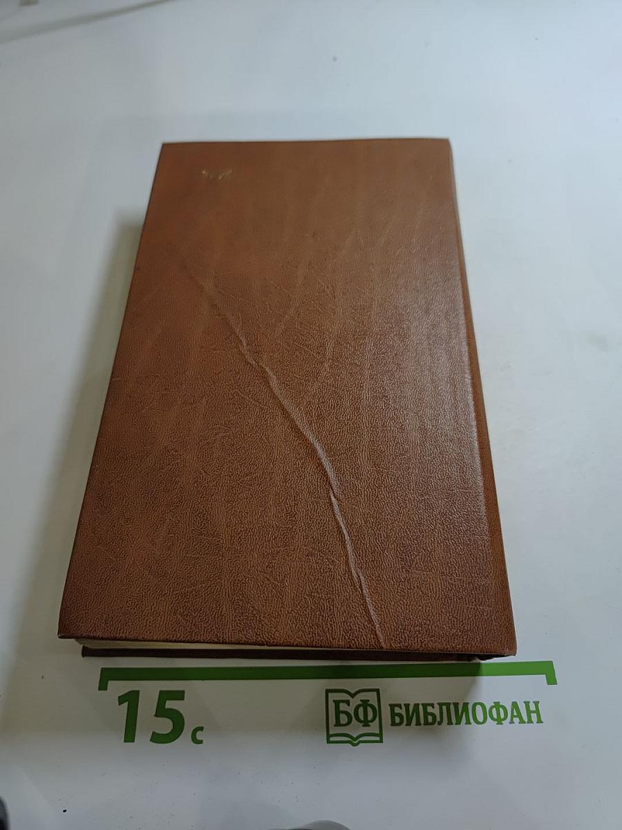 Разин Степан