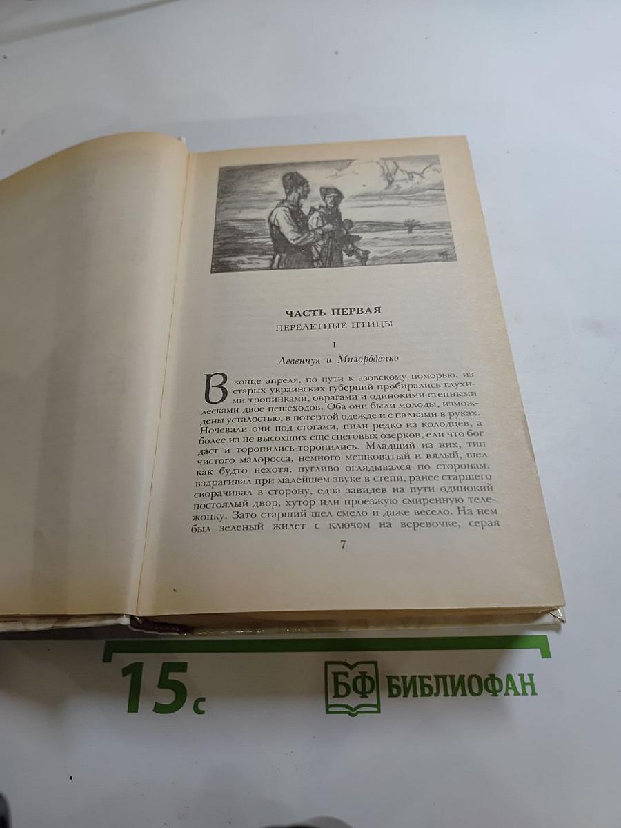 Беглые в Новороссии. Воля. Княжна Тараканова