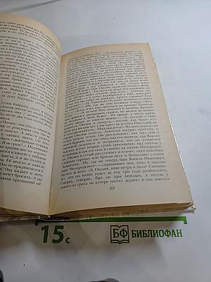 Беглые в Новороссии. Воля. Княжна Тараканова