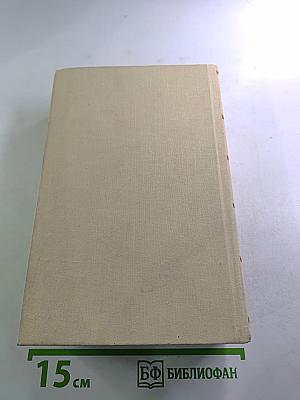 Конец главы