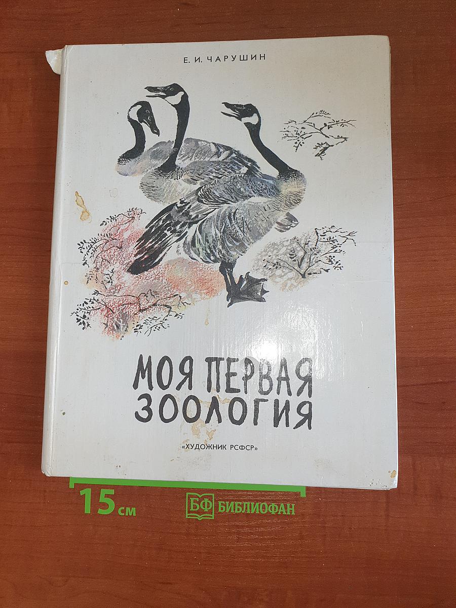 Моя первая зоология