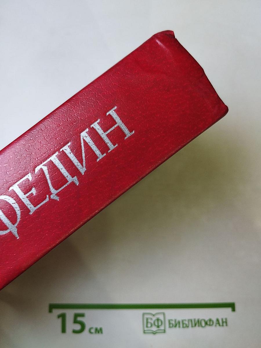 Первые радости. Необыкновенное лето